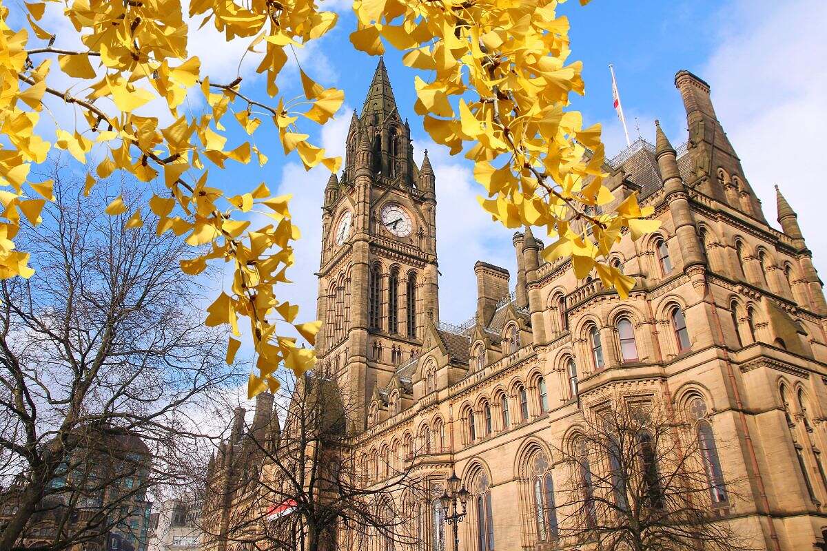 Manchester City Hall reser sig mot en blå himmel med gula blad från ett träd i förgrunden, en höstdag.