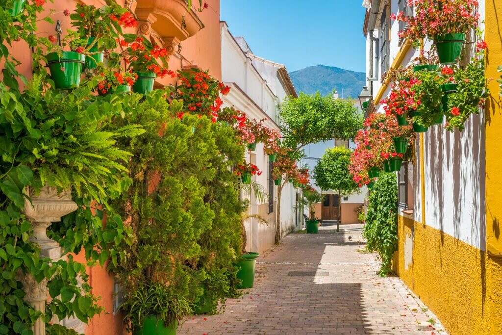 En pictoresk gata i Malaga, Spanien med mycket växter och ett berg i bakgrunden.