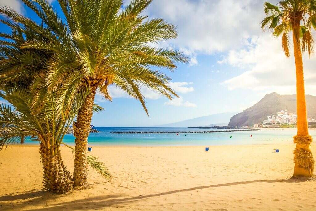 En sandstrand med palmer i Teneriffa, Spanien.