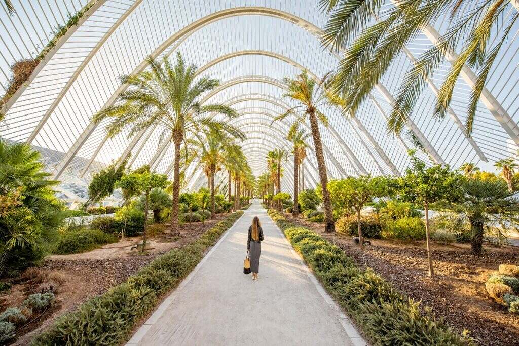 Den modernistiska Turia parken i Valencia, Spanien med palmträd som växer under en metallstruktur i City of Arts and Sciences.