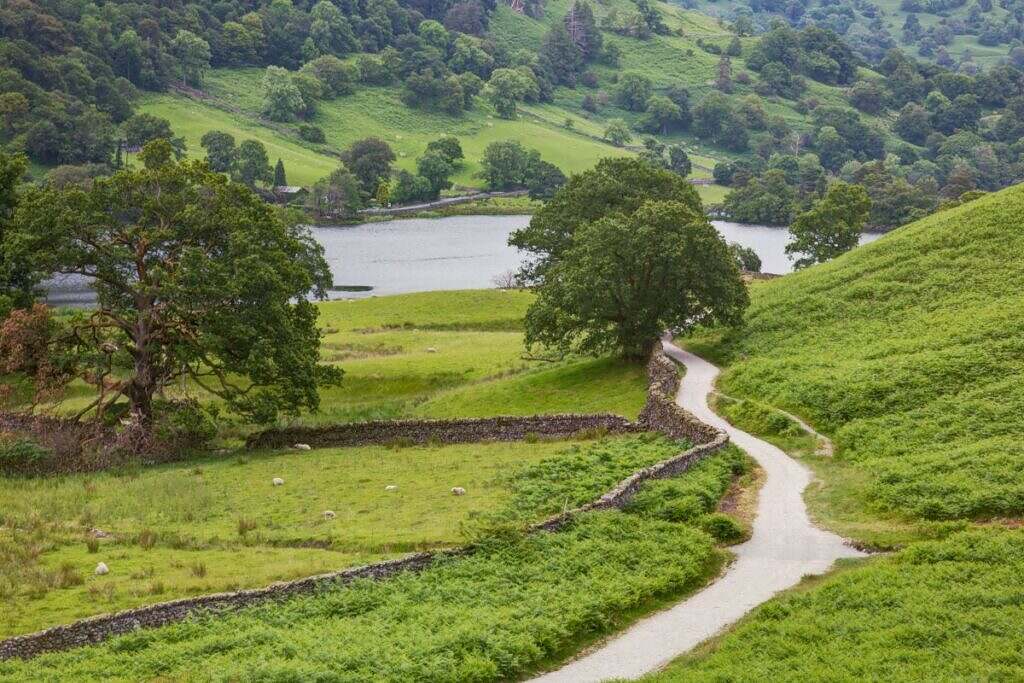 En bild med gröna kullar och lummiga träd på landsbygden i England, Lake District.